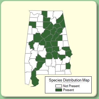 Species Distribution Map