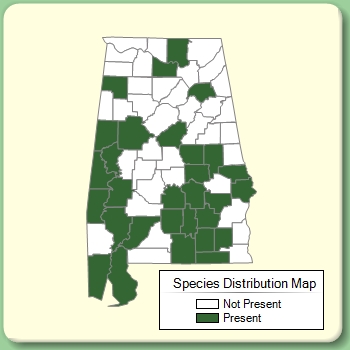 Species Distribution Map