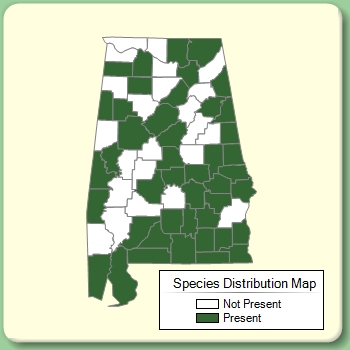 Species Distribution Map