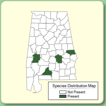 Species Distribution Map