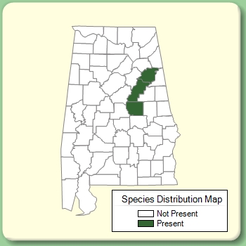 Species Distribution Map