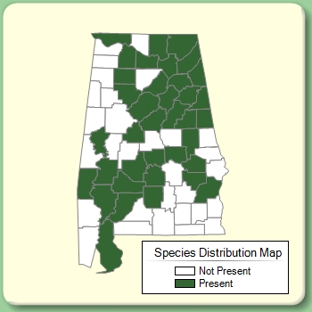 Species Distribution Map