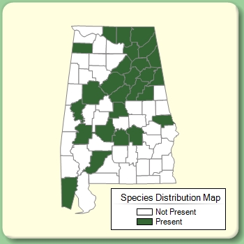 Species Distribution Map