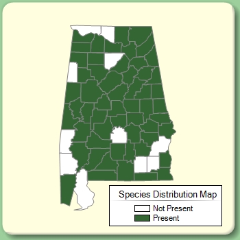 Species Distribution Map