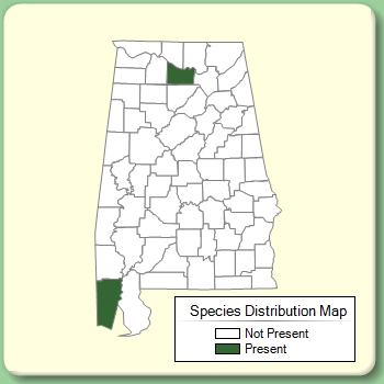 Species Distribution Map