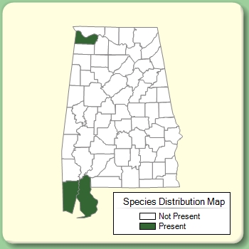 Species Distribution Map