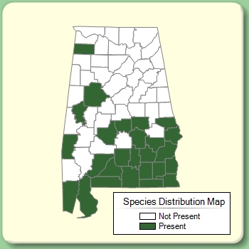 Species Distribution Map