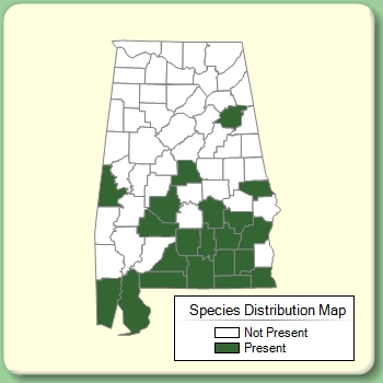 Species Distribution Map