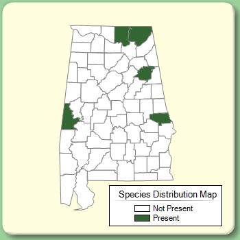 Species Distribution Map