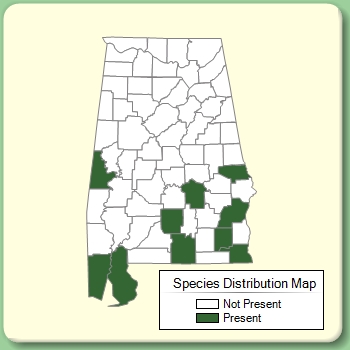 Species Distribution Map