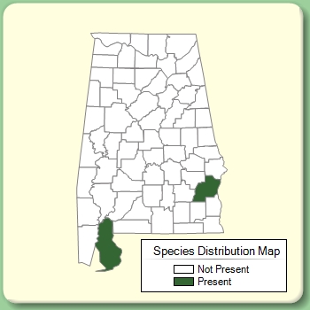 Species Distribution Map