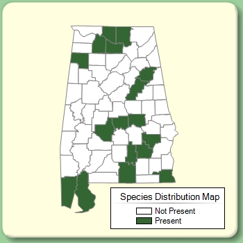 Species Distribution Map