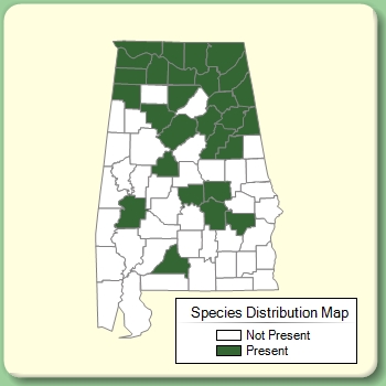 Species Distribution Map