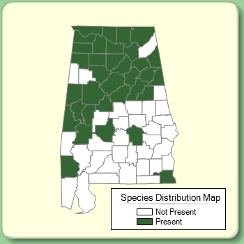 Species Distribution Map