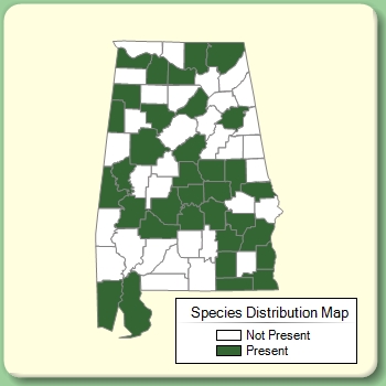 Species Distribution Map