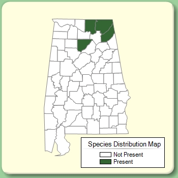 Species Distribution Map