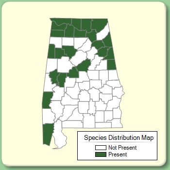 Species Distribution Map