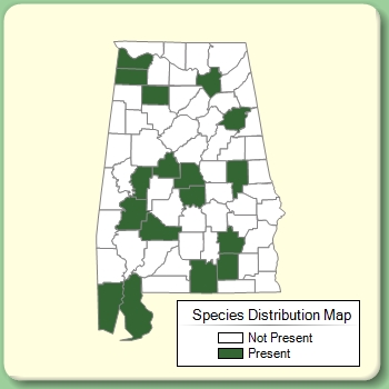 Species Distribution Map