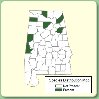 Species Distribution Map