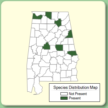 Species Distribution Map