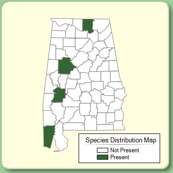 Species Distribution Map