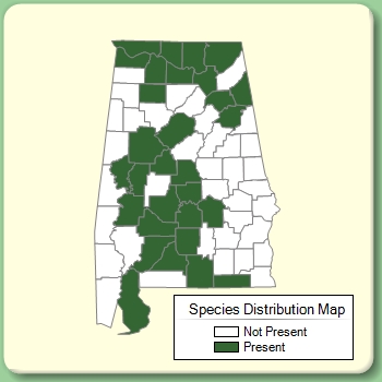 Species Distribution Map