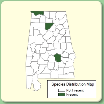 Species Distribution Map