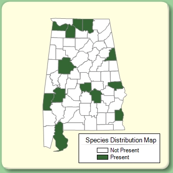 Species Distribution Map