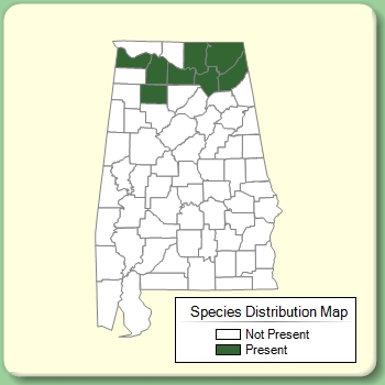 Species Distribution Map