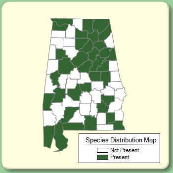 Species Distribution Map