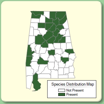 Species Distribution Map