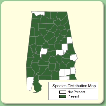 Species Distribution Map