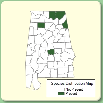 Species Distribution Map