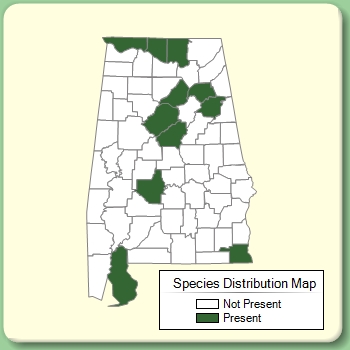 Species Distribution Map