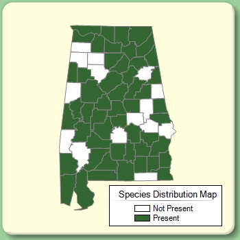 Species Distribution Map