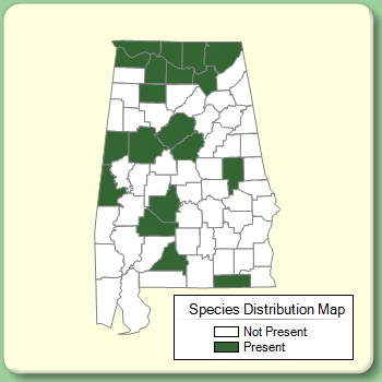 Species Distribution Map