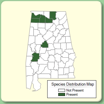 Species Distribution Map