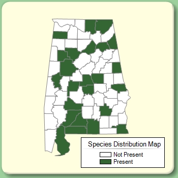 Species Distribution Map