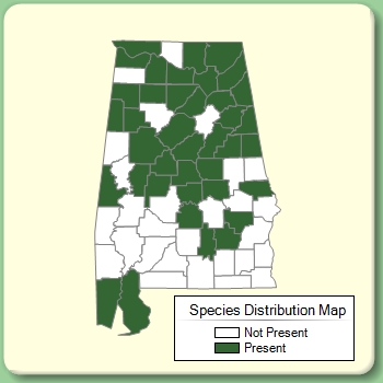 Species Distribution Map