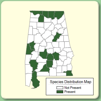 Species Distribution Map