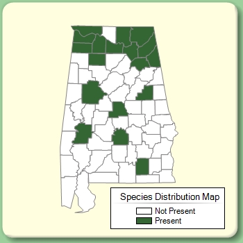 Species Distribution Map