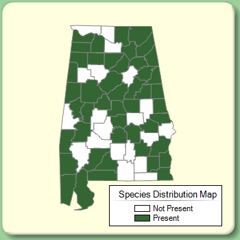 Species Distribution Map