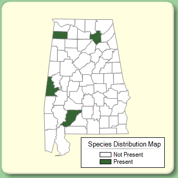 Species Distribution Map