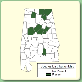 Species Distribution Map