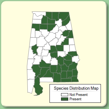 Species Distribution Map