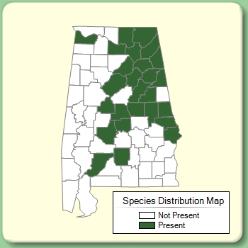 Species Distribution Map