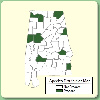 Species Distribution Map