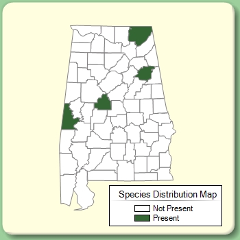 Species Distribution Map