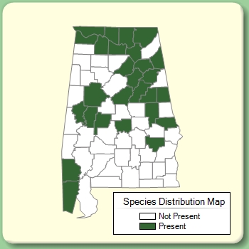 Species Distribution Map