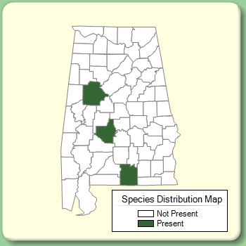 Species Distribution Map